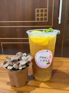 Hình ảnh Trà đào dầm