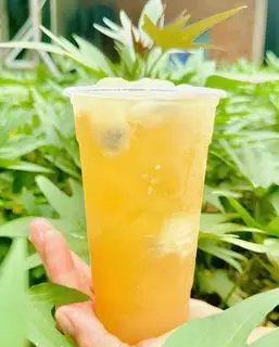 Hình ảnh Trà Mãng Cầu (Best seller)