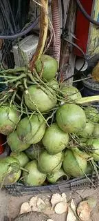 Hình ảnh Nước dừa tươi 1L