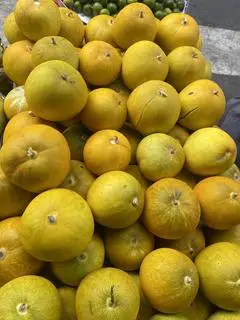 Hình ảnh dưa gan