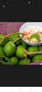 Hình ảnh Cóc non chưa gọt 1 Kg - mắm ruốc