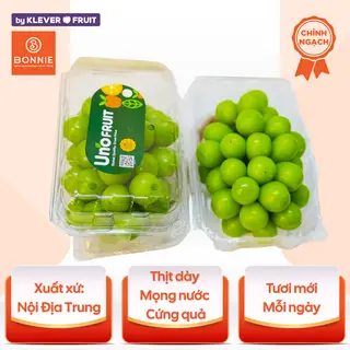 Hình ảnh Nho Sữa/Nho Mẫu Đơn/Nho Shine Muscat Nội Địa Trung Hộp 500g