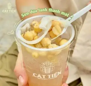 Hình ảnh Sen dừa lạnh