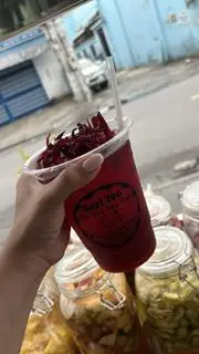 Hình ảnh Trà Atiso