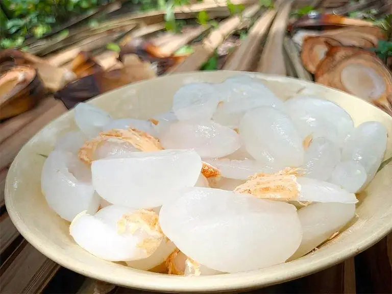 Hình ảnh Dừa nước dằm