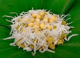 Hình ảnh Xôi cốm hạt sen 200g
