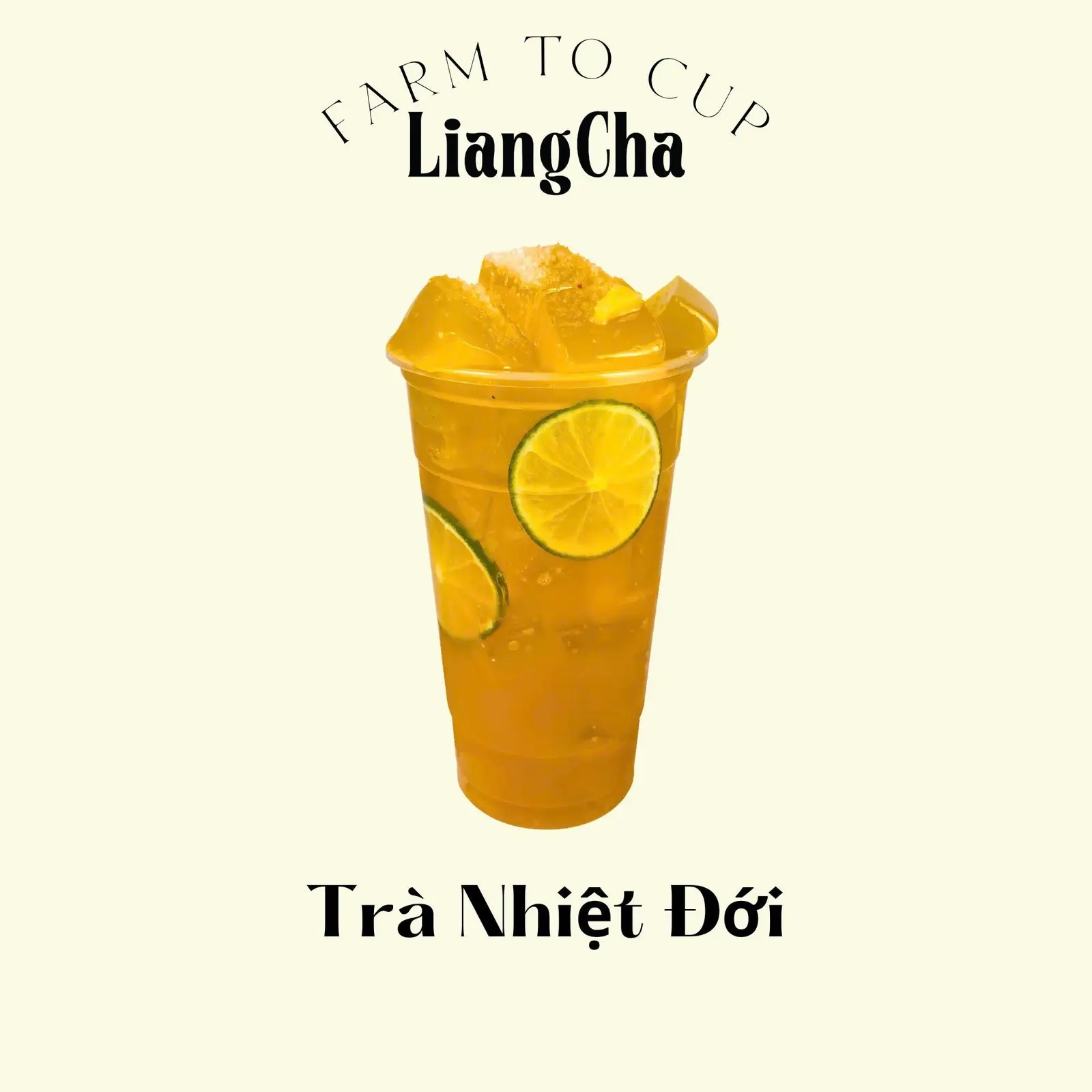 Hình ảnh Trà nhiệt đới