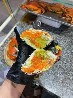 Hình ảnh 1 con cua Gạch- HẤP 
