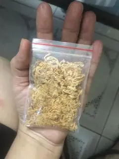 Hình ảnh Ruốc Heo