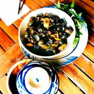 Hình ảnh ỐC HÚT MIỀN TRUNG
