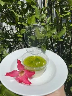 Hình ảnh Panna cotta vị kiwi 