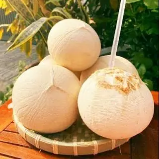Hình ảnh Dừa dứa