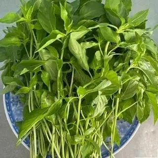Hình ảnh Rau Thêm
