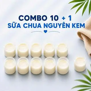 Hình ảnh COMBO 10+1 SỮA CHUA NGUYÊN KEM BÉ BI