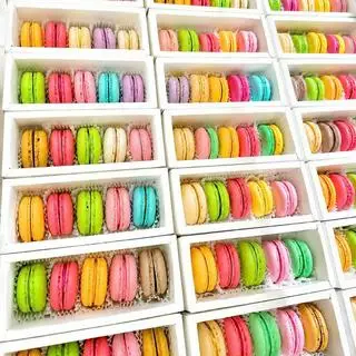 Hình ảnh Set 5 Bánh Macaron Bigsize 