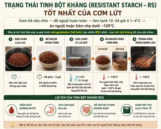 Hình ảnh Cơm Lứt BEE