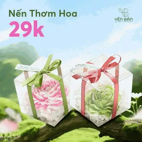 Hình ảnh Hộp Quà Sáp Thơm Hoa Mẫu Đơn