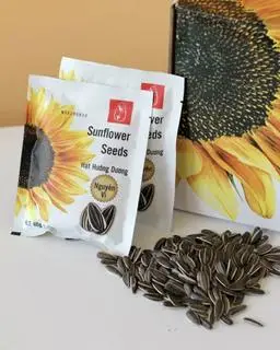 Hình ảnh Hướng dương