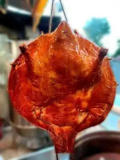 Hình ảnh Vịt Tỳ Bà