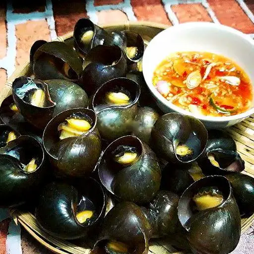Hình ảnh Ốc lát hấp sả