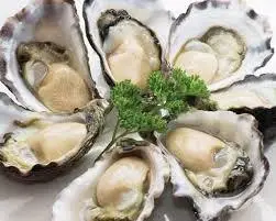 Hình ảnh Hàu Gỏi