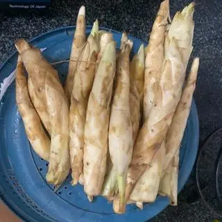 Hình ảnh Củ bình tinh luộc