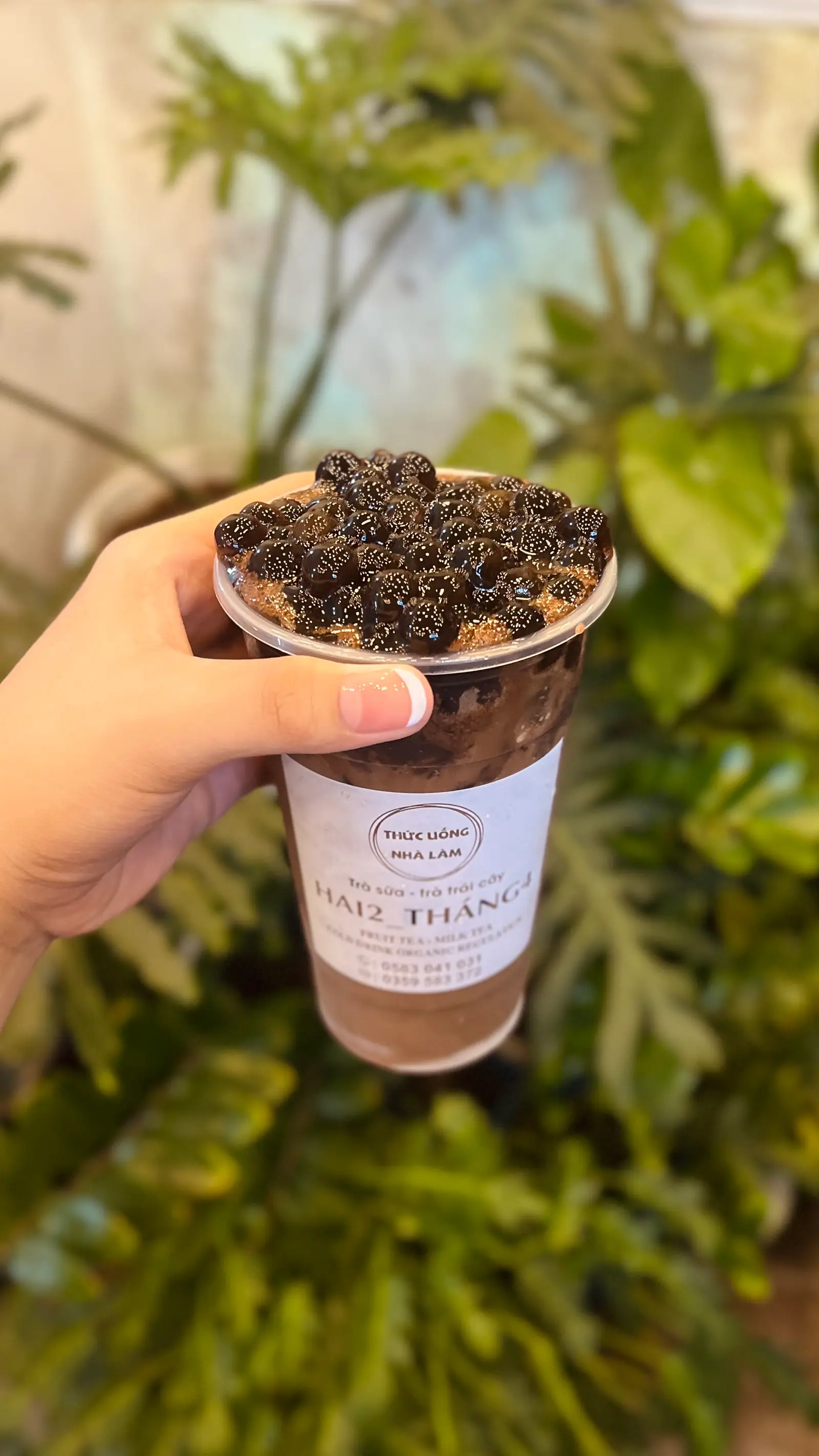 Hình ảnh ca cao sữa đá