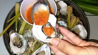 Hình ảnh Hàu Hấp. 5 con