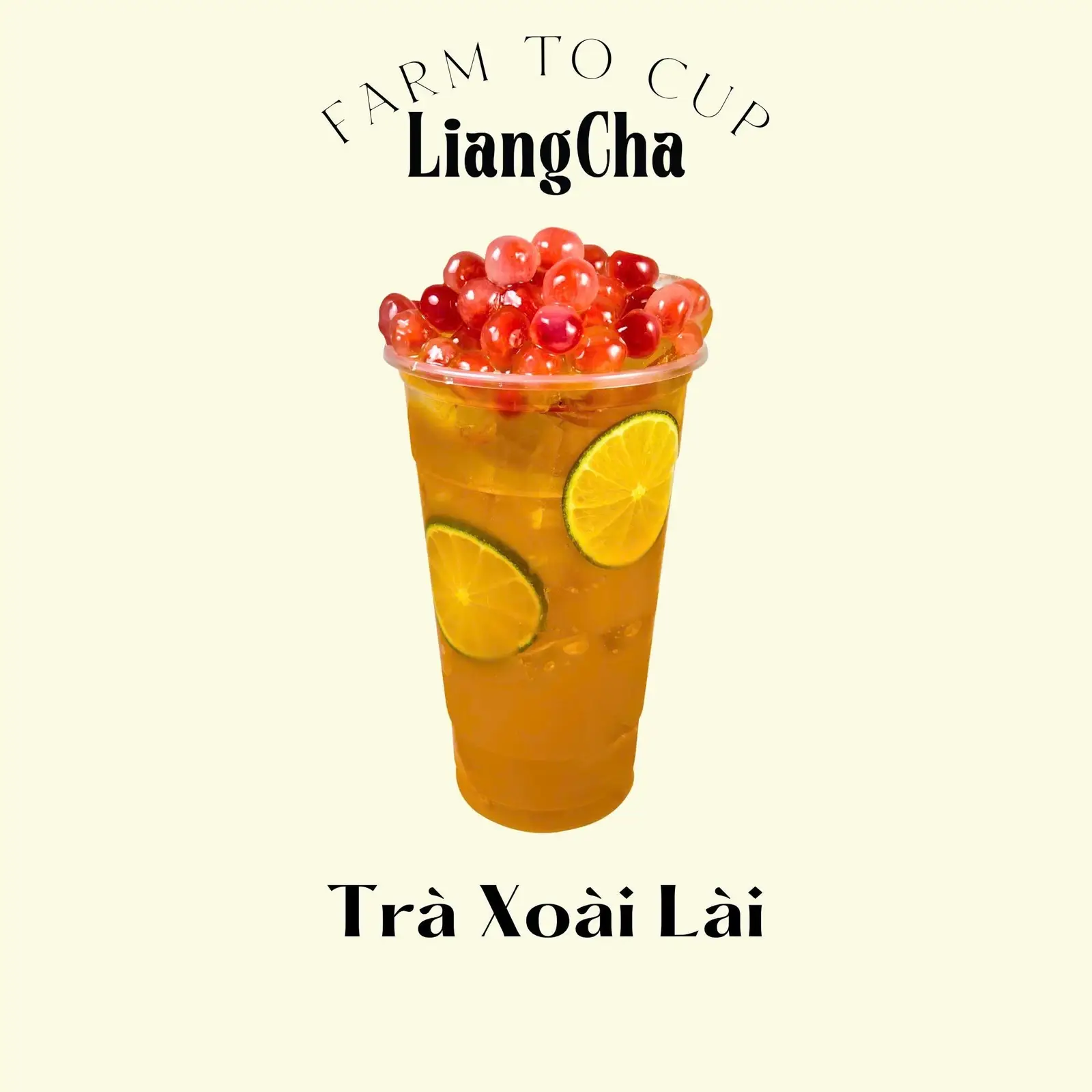 Hình ảnh Trà xoài lài