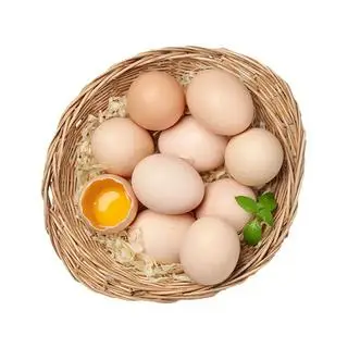 Hình ảnh trứng gà ta