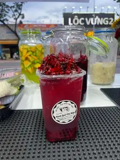 Hình ảnh Trà Atiso