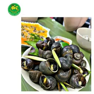 Hình ảnh Ốc mít luộc mắm tiêu