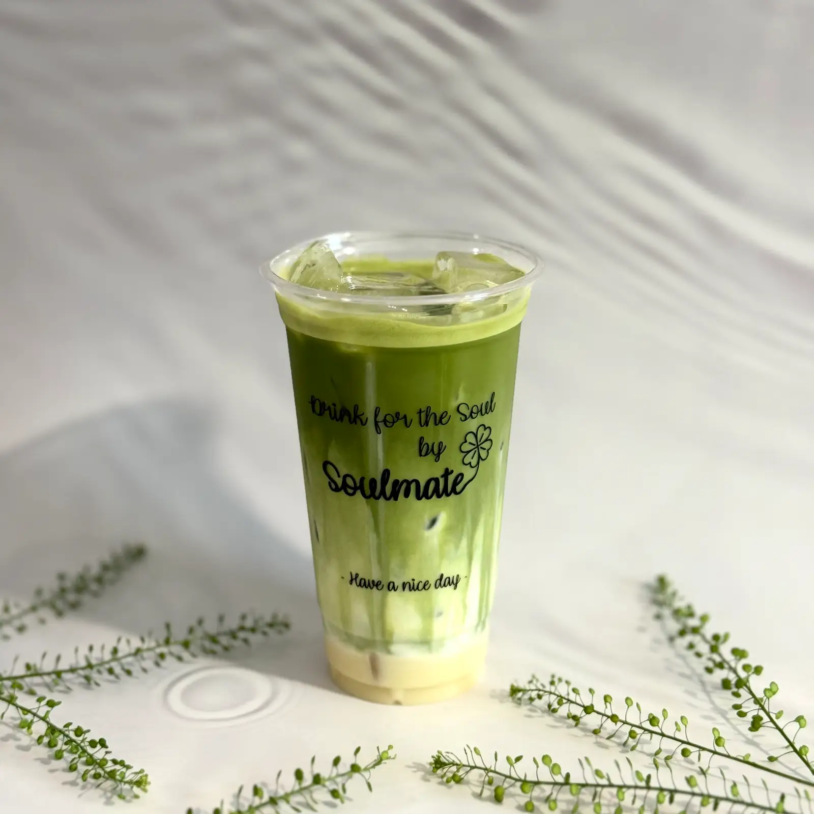 Hình ảnh Matcha Sữa Gấu L