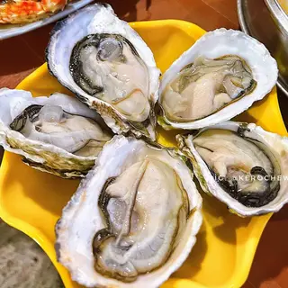 Hình ảnh Hàu Gỏi