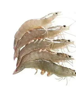 Hình ảnh tôm thêm 2 con