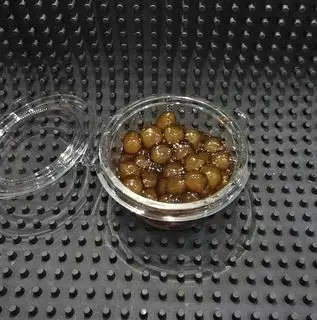 Hình ảnh Trân châu hoàng kim