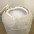 Hình ảnh Rau câu trái dừa