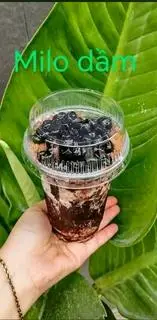 Hình ảnh milo dầm 