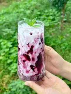 Hình ảnh Sữa chua đá