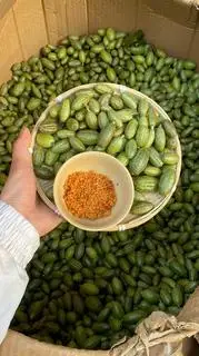 Hình ảnh 0,5kg nhót bao tử (kèm sẵn muối tây ninh và muối Ngọc Yến)