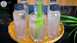 Hình ảnh  Mủ trôm hạt é 