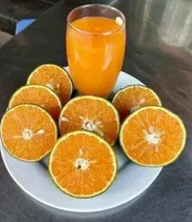 Hình ảnh Cam vắt