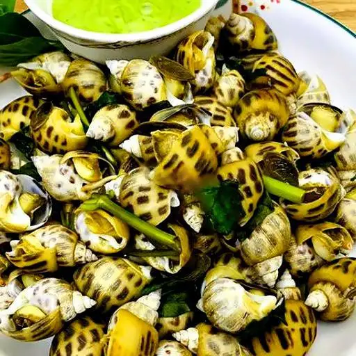 Hình ảnh Ốc hương mướng mọi