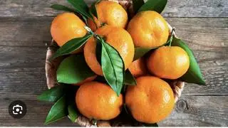 Hình ảnh Quýt Thái Chua Rôn Rốt