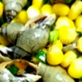 Hình ảnh Ốc cà na xào bắp