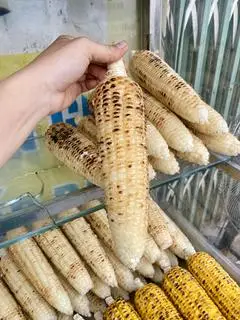 Hình ảnh 1 trái nguyên Bắp Nếp