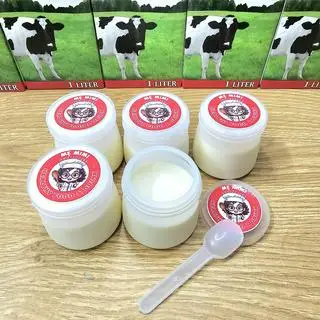 Hình ảnh Set 5 hủ sữa chua nguyên vị