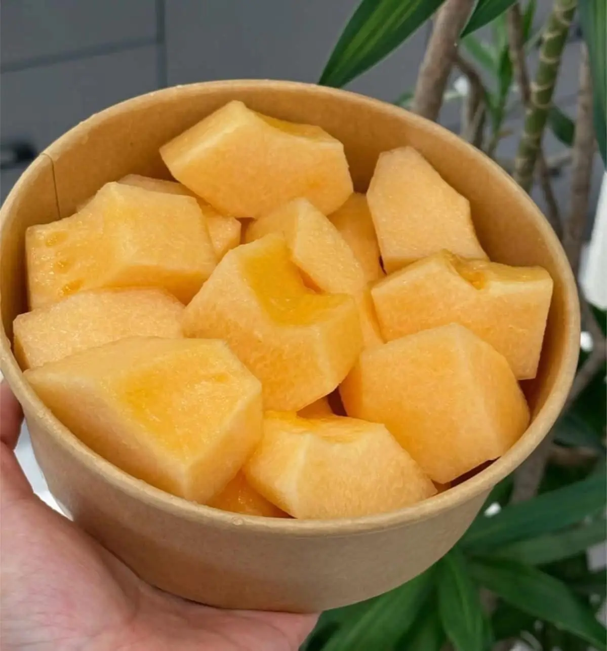 Hình ảnh Hộp Dưa Vàng cắt sẵn