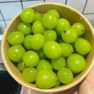 Hình ảnh Nho sữa mọng ngọt