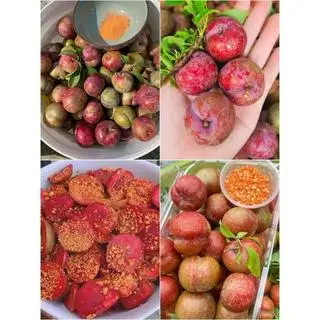 Hình ảnh Mận đầu mùa dầm 